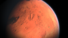 Sojourner probes the surface of Mars
