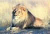 Lions in the Bible