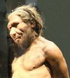 ‘Neanderthal’