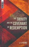 The Trinity and the covenant of redemption