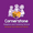 Marketing & Recruitment Officer at Cornerstone Adoption and Fostering Service