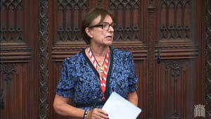 Peers speak out against plans to decriminalise abortion up to birth