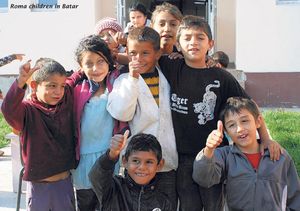 The Roma