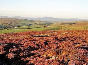 Society – Pennine preaching