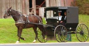 The Amish tragedy