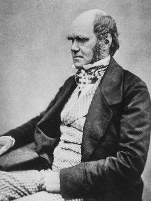 darwin.jpg darwin.jpg